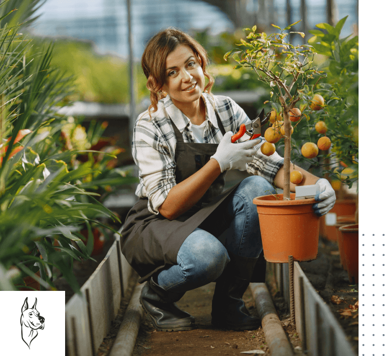 Elevate Your Retail Success: Home Decor & Furniture Dropshipping with TopDawg