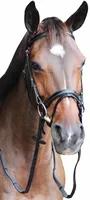 Henri de Rivel Pro Piaffe Mono Crown Bridle with Flash Noseband with Patent Leather and webbed rubber reins with leather stops